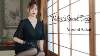 The Widow’s Lust Vol.9
